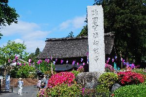 塩船観音のつつじと火渡り荒行修行 紹介